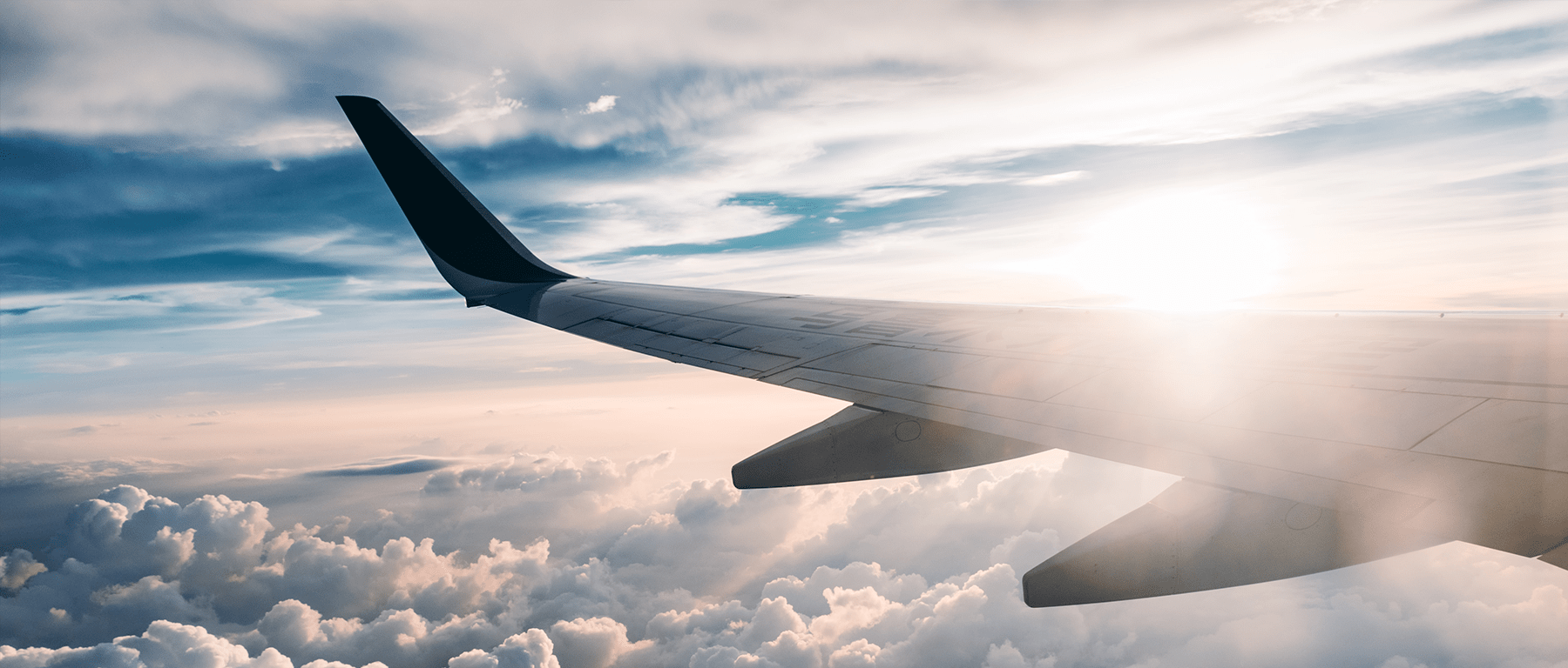 wing tip at sunset