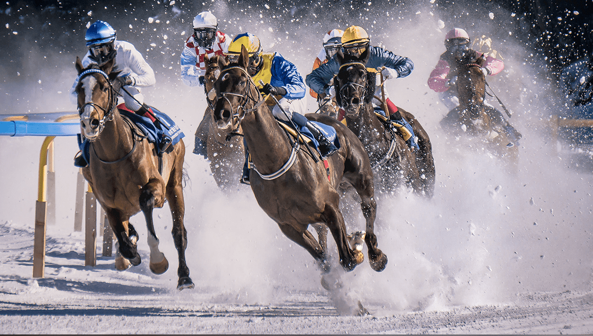 horse racing sub