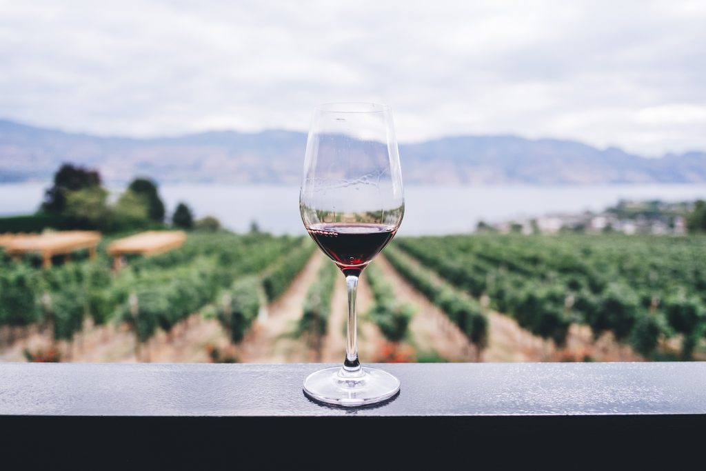private jet flight to Wine degustation experience