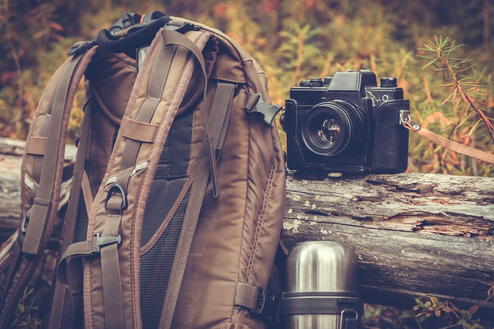 Group Air Charter for Wildlife Photography Expeditions