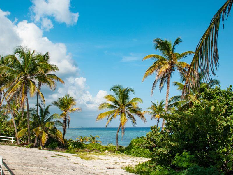 destination trends 2024 cayman islands 