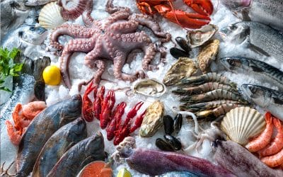 Transportation and storage of food