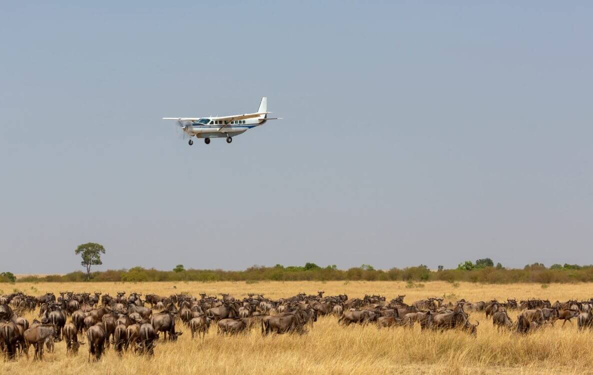 Private Jet flying over Safari