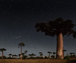 Stars at night astro tourism
